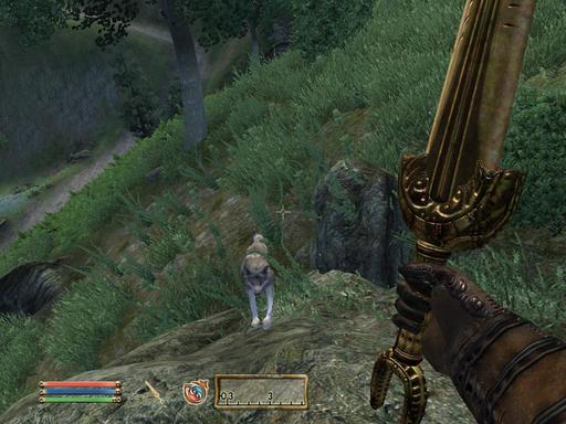 Elder Scrolls IV: Oblivion, The - Дневник имперского гастарбайтера. Том третий.